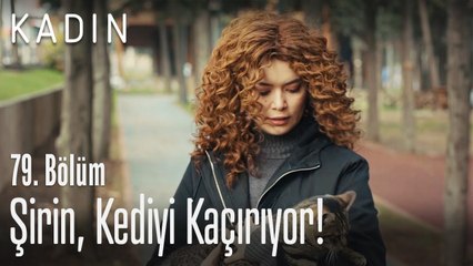 Şirin, kediyi kaçırıyor! - Kadın 79. Bölüm