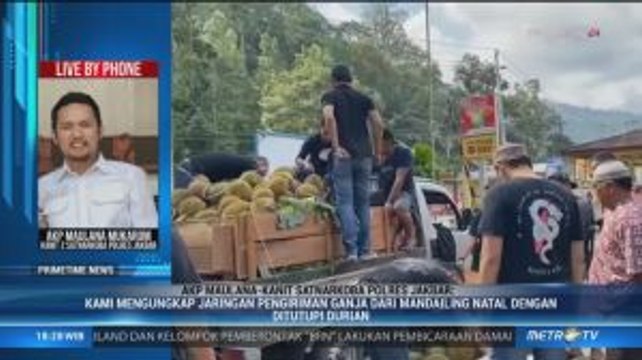374 Kg Ganja Diselundupkan di Bawah Tumpukan Durian