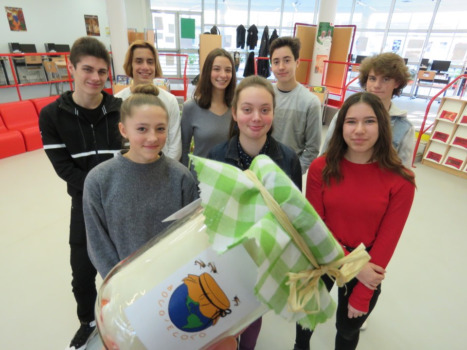 Collège Louis-Lumière de Marly-le-Roi (Yvelines)