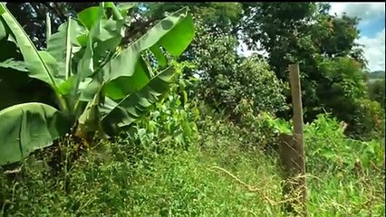 Um ano após catástrofe, Brumadinho segue paralisada