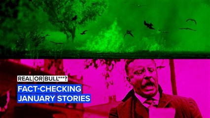 Snopes guessing game: Are these news stories true or false?