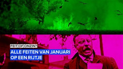 Zijn deze nieuwsberichten feit of onzin?