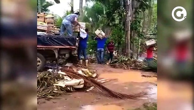 Sem ponte, caixas de bananas são transportadas de mão em mão em Alfredo Chaves