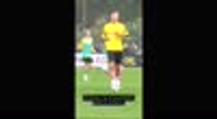 Favre impressed by Haaland's work ethic