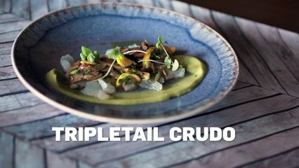 Recipe: Tripletail Crudo