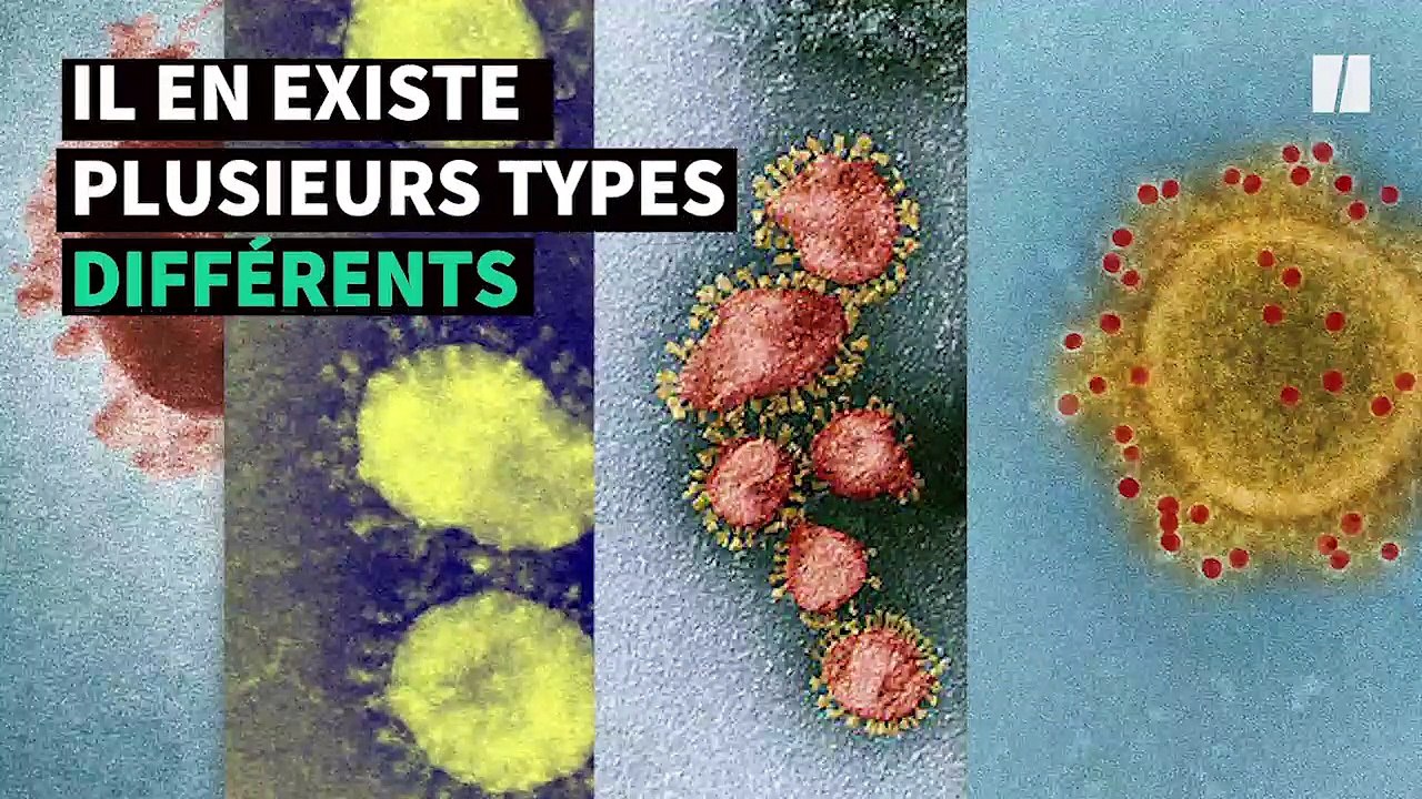 Vous avez déjà eu un coronavirus, mais voici pourquoi celui-ci inquiète tant