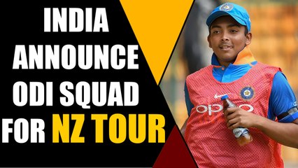 SAMSON, SHAW CALLED AS DHAWAN REPLACEMENT FOR NZ TOUR | Oneindia News