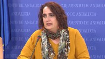 Adelante Andalucía exige claridad a los socios del Gobierno andaluz ante el pin parental