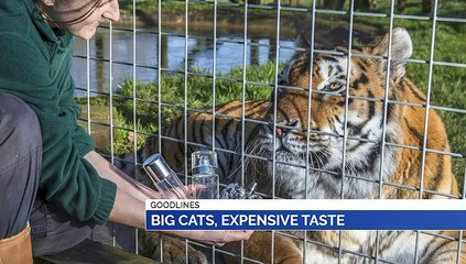 GOODLINES: 23rd January 2020