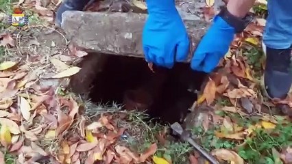 Vicenza - Liquami dei pozzi neri sversati nei tombini, 19 denunce (22.01.20)