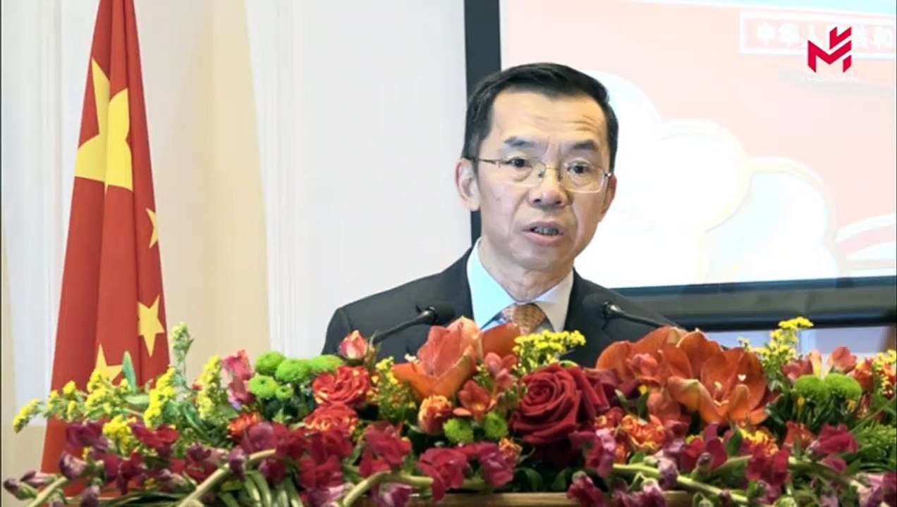 中国驻法使馆2020年春节招待会