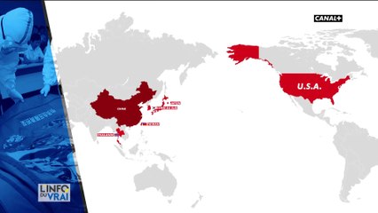 Coronavirus : quels pays sont touchés ?