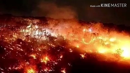 Australia forest fire