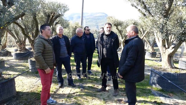 Ministri Çuçi thirrje fermerëve: Përdorni vetëm fidanë të certifikuar nga Enti Shtetëror i Farave