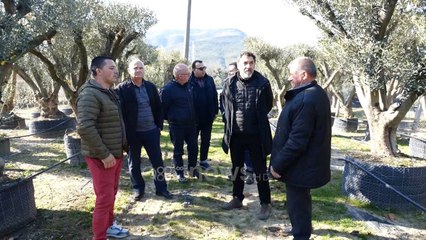 Ministri Çuçi thirrje fermerëve: Përdorni vetëm fidanë të certifikuar nga Enti Shtetëror i Farave