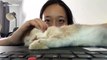 Silly rabbit snoozes on laptop while Australian girl tries to watch videos