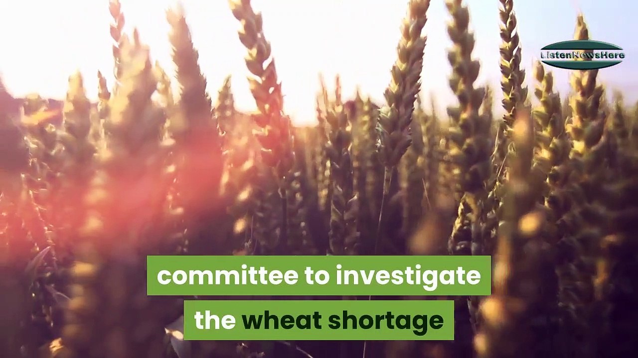 PM Imran forms committee to investigate ‘wheat controversy’