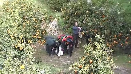 Encontrado en La Nucía el cadáver del hombre desaparecido desde el lunes