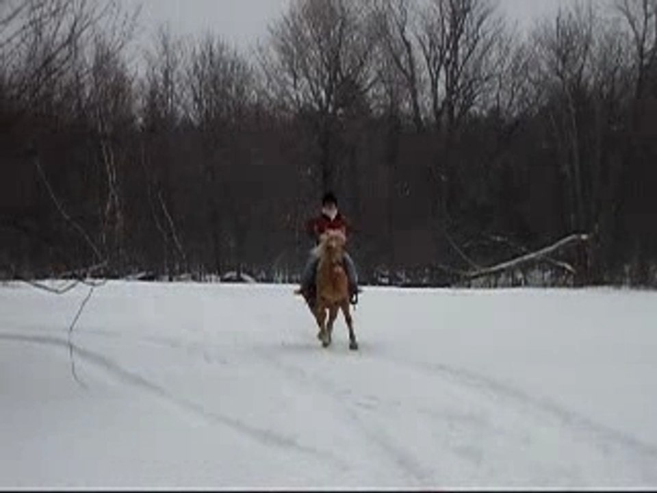 Moi qui galope avec GT!