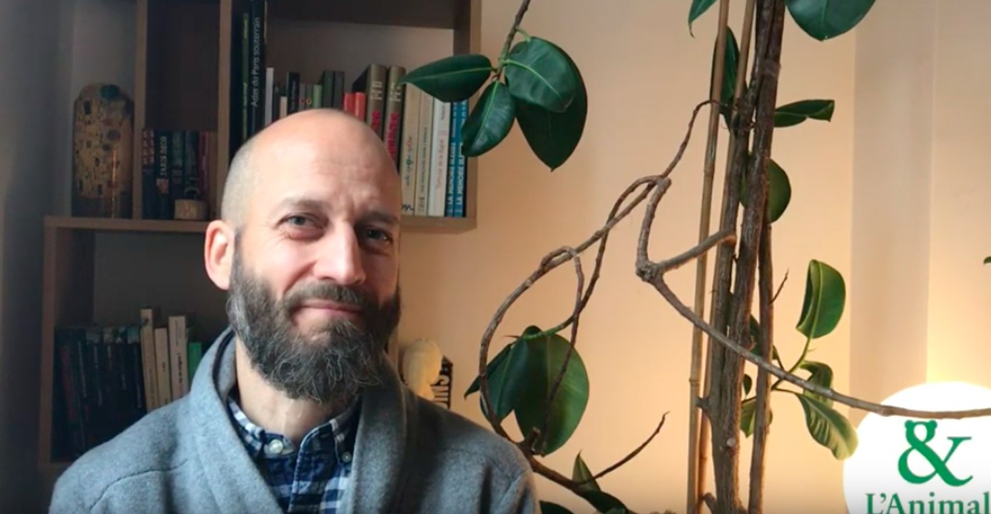 Interview 5 de Olivier Piazza : Les nuées d’oiseaux pour diriger une équipe