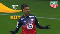 But Loïc REMY (90ème +3 pen) / Olympique Lyonnais - LOSC - (2-2) - (OL-LOSC) / 2019-20