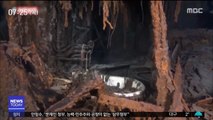 [이 시각 세계] 타이타닉 선체 공개되나…유물 인양 추진