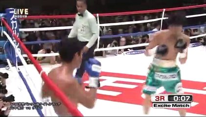 Shinsuke Yamanaka vs Alberto Guevara (10-11-2013) Full Fight