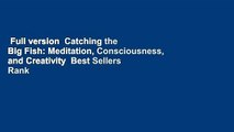 Full version  Catching the Big Fish: Meditation, Consciousness, and Creativity  Best Sellers Rank