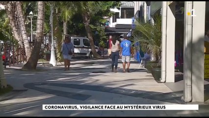 Coronavirus : vigilance et risque faible en Polynésie