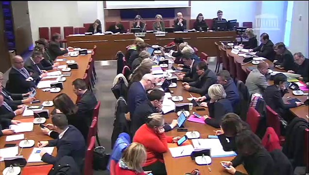 Commission des affaires sociales : Congé de deuil de 12 jours consécutifs pour le décès d'un enfant mineur ; Ouverture du marché du travail aux personnes atteintes de diabète - Mercredi 22 janvier 2020