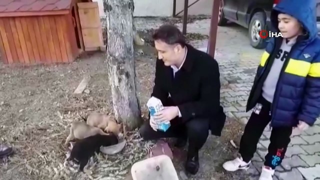 Ölmek üzere bulduğu köpekleri sahiplenen kaymakam gönülleri fethetti