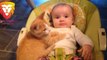 Kittens and Babies Playing Together Compilation