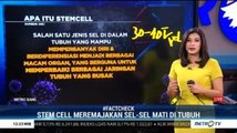Kenali <i>Stem Cell</i> dan Manfaatnya Bagi Tubuh