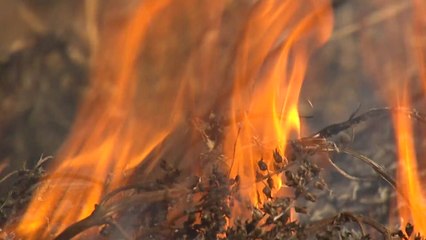 [녹색] 논·밭두렁 태우면 벌금 100만 원 / YTN