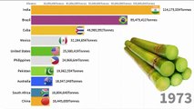 Top Largest Sugar cane Producer countries