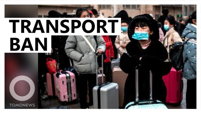 Wuhan suspends public transport amid virus outbreak
