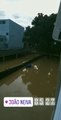 Após a forte chuva nesta quarta, moradores acordam com ruas alagadas em João Neiva