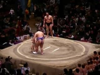Sumo et Kodomo !