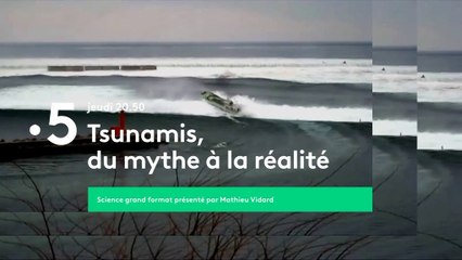 [BA] Tsunamis, du mythe à la réalité - 30/01/2020