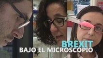 ESPECIAL BREXIT: El brexit, bajo el microscopio