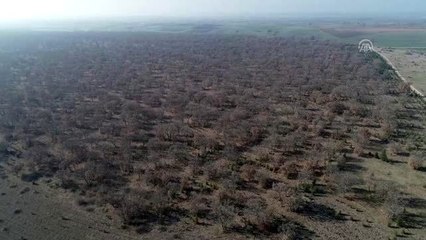 Planörden uyuşturucu atılması -Kırklareli Valisi Bilgin