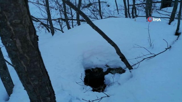 Bitlis’te terör örgütüne ait 8 sığınak ve 4 depo bulundu