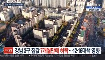 강남 3구 집값 7개월만에 하락…12·16 대책 영향