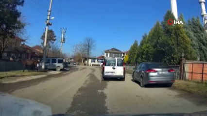 Ahırdan kaçan at trafikte tehlike oluşturdu