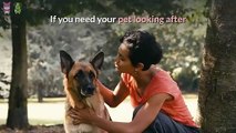 Animal Smart - Pet Care Services You Can Trust
