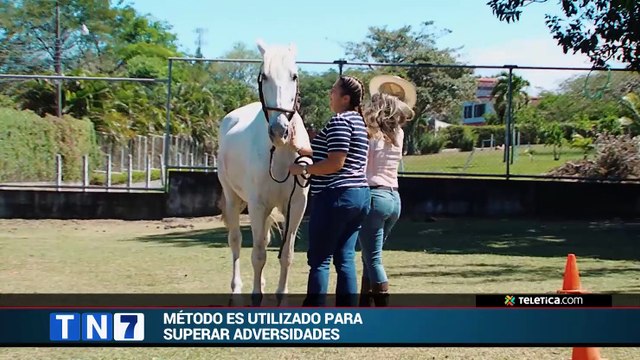 tn7-coaching-con-caballos-230120