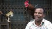 Indian Man Dies After Being Attacked By Rooster On Way To Cockfight