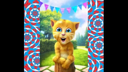 Boa tarde gata, você é uma gata lindíssima, além de charmosa! [Mensagem] [Frases e Poemas]