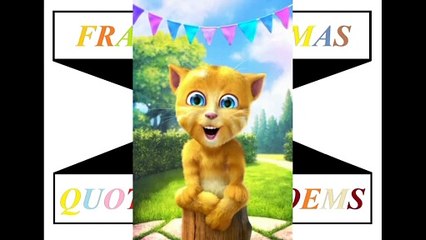 Bom dia engraçado: Ontem à noite, fui numa corrida de jumentos! [Mensagem] [Frases e Poemas]