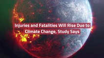 A Link Between Climate Change And Fatalities